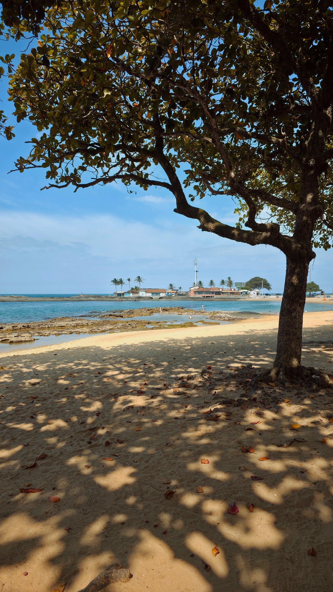 Casal sentado à sombra das castanheiras, de frente para o mar